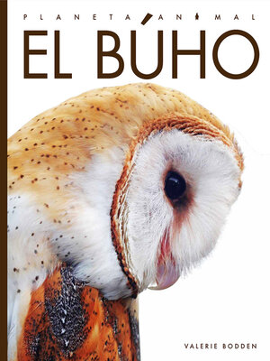 El búho - ebook